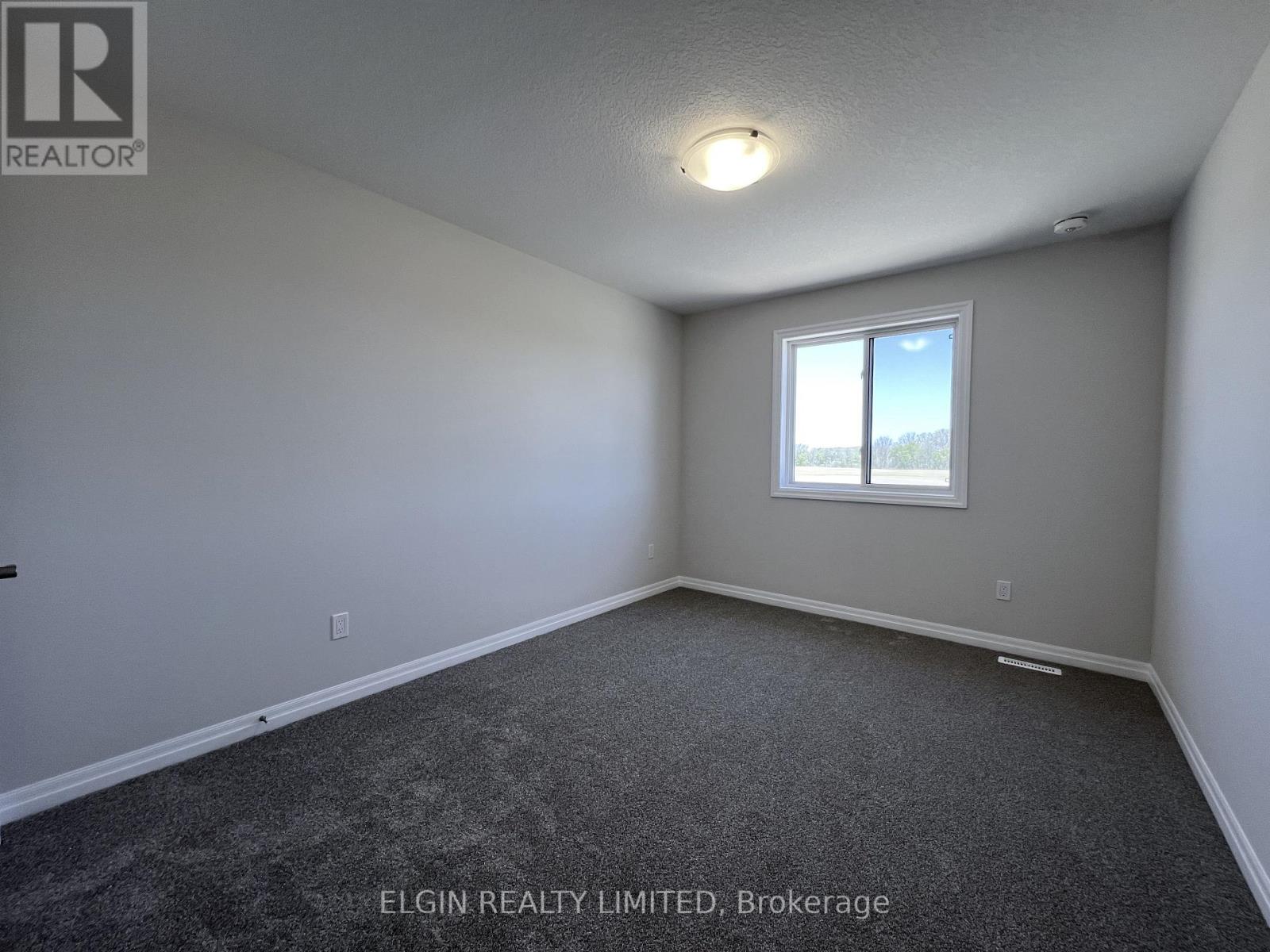 37 Braun Avenue, Tillsonburg, Ontario  N4G 0K5 - Photo 14 - X12196154