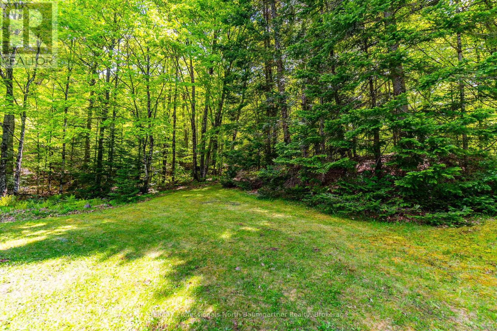 18053 Highway 35, Algonquin Highlands, Ontario  K0M 1J2 - Photo 32 - X12196245