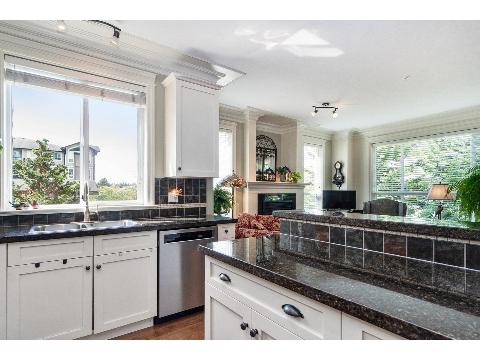 218 32729 Garibaldi Drive, Abbotsford, British Columbia  V2T 0A6 - Photo 17 - R3010873