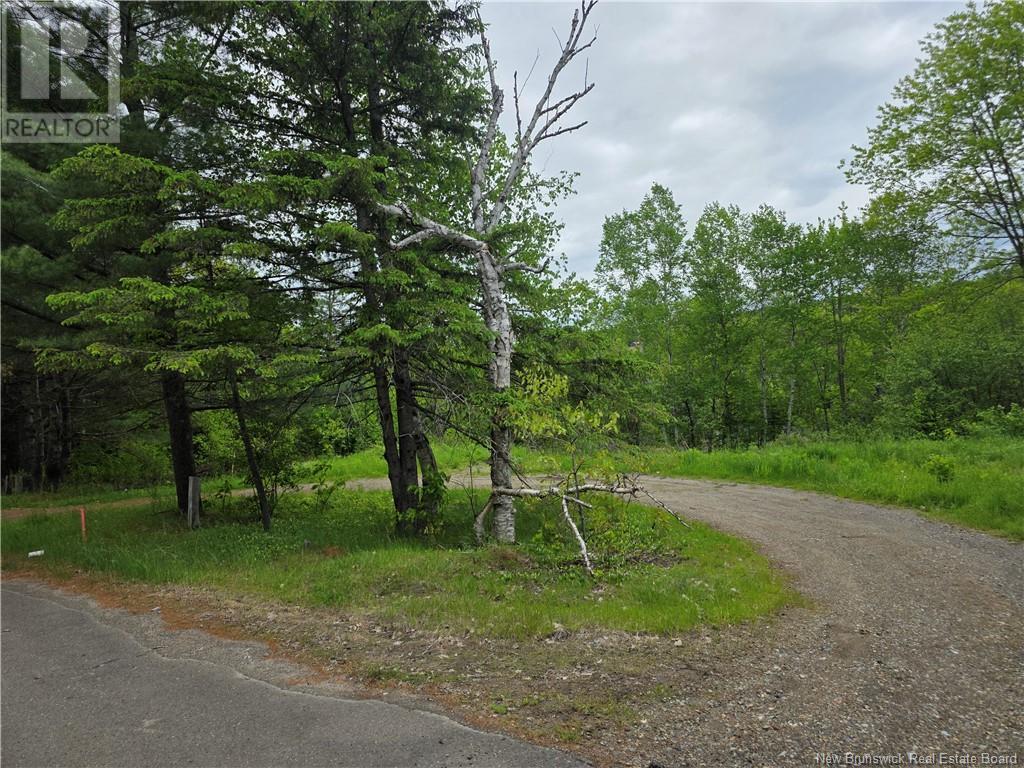 1736 Route 148, Taymouth, New Brunswick  E6C 2E9 - Photo 1 - NB120031
