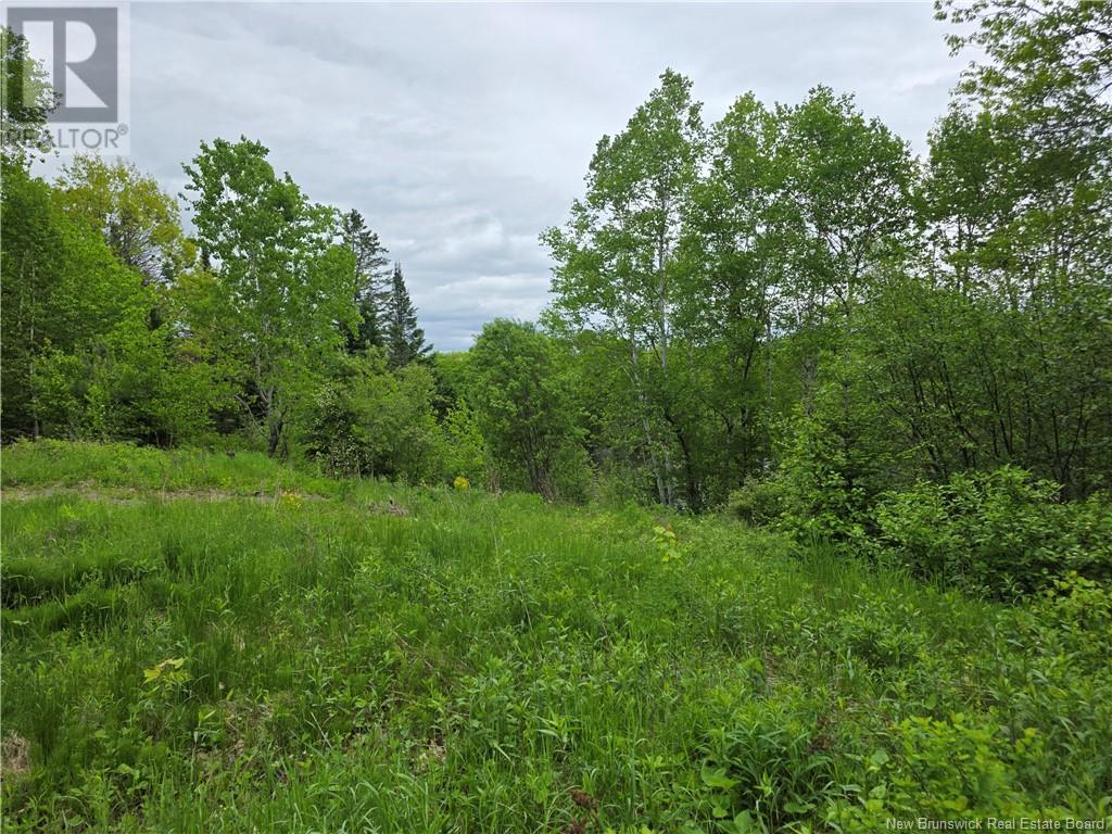 1736 Route 148, Taymouth, New Brunswick  E6C 2E9 - Photo 10 - NB120031