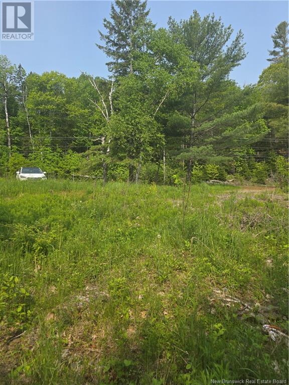 1736 Route 148, Taymouth, New Brunswick  E6C 2E9 - Photo 11 - NB120031