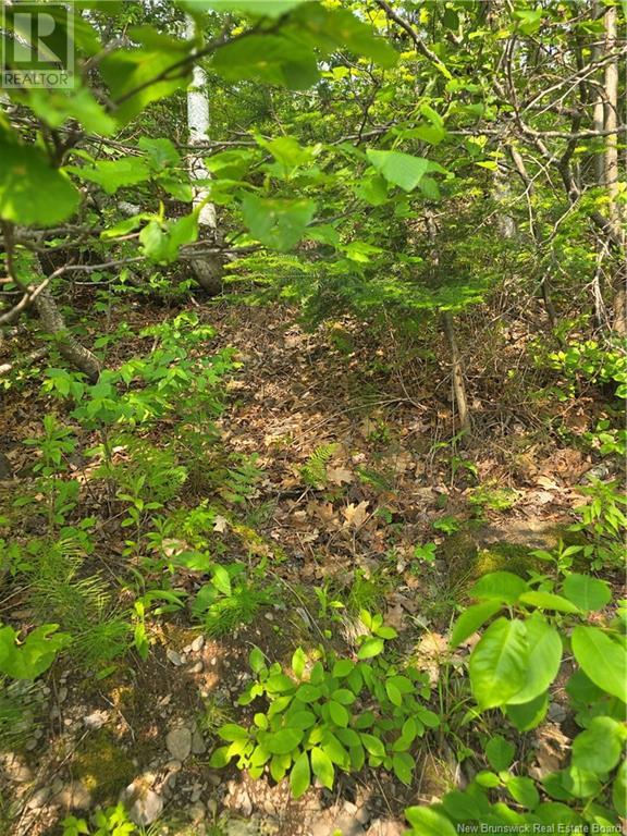 1736 Route 148, Taymouth, New Brunswick  E6C 2E9 - Photo 22 - NB120031