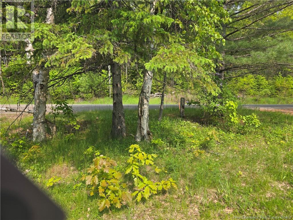 1736 Route 148, Taymouth, New Brunswick  E6C 2E9 - Photo 23 - NB120031