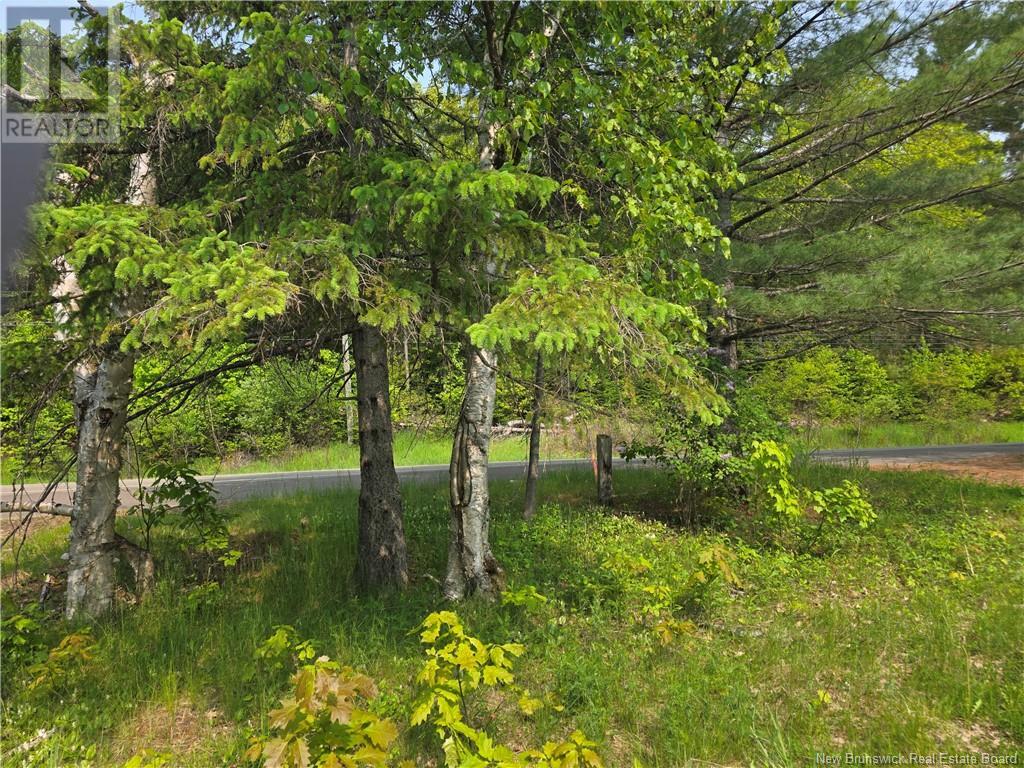 1736 Route 148, Taymouth, New Brunswick  E6C 2E9 - Photo 24 - NB120031