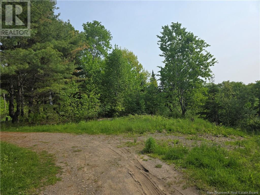 1736 Route 148, Taymouth, New Brunswick  E6C 2E9 - Photo 25 - NB120031