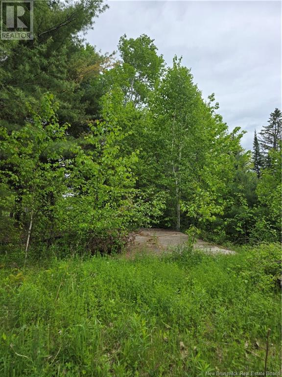 1736 Route 148, Taymouth, New Brunswick  E6C 2E9 - Photo 3 - NB120031