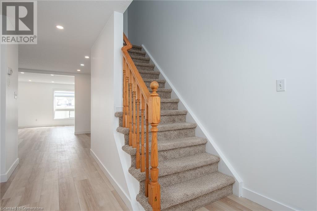 Property at 23 DAHLIA Street image 4