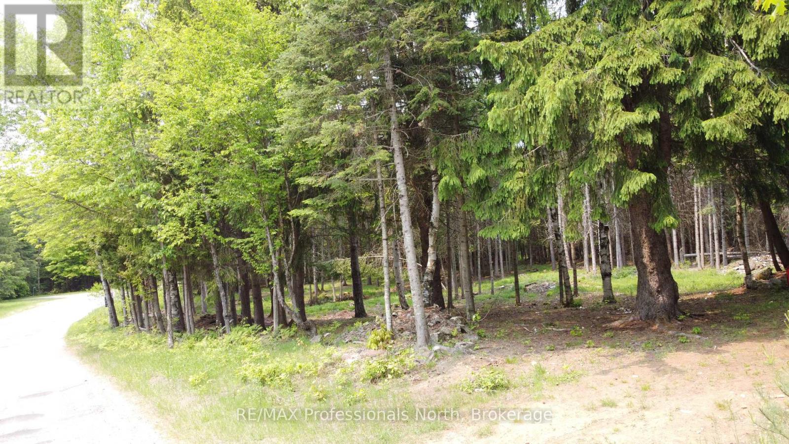 1897 Blairhampton Road, Minden Hills, Ontario  K0M 2K0 - Photo 10 - X12196393
