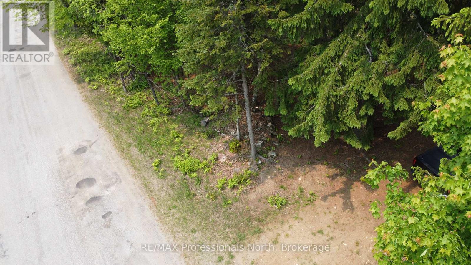 1897 Blairhampton Road, Minden Hills, Ontario  K0M 2K0 - Photo 11 - X12196393
