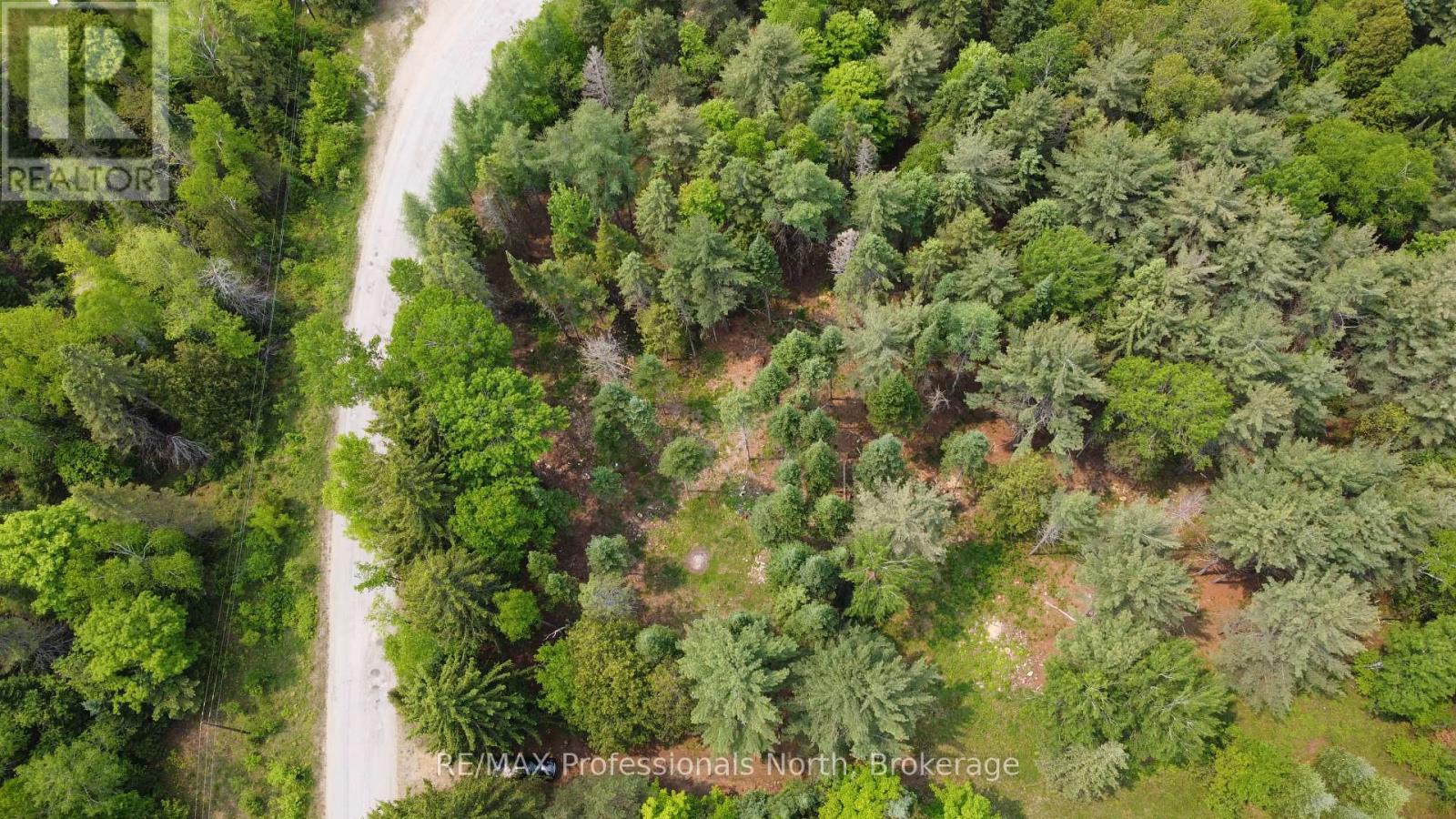 1897 Blairhampton Road, Minden Hills, Ontario  K0M 2K0 - Photo 13 - X12196393