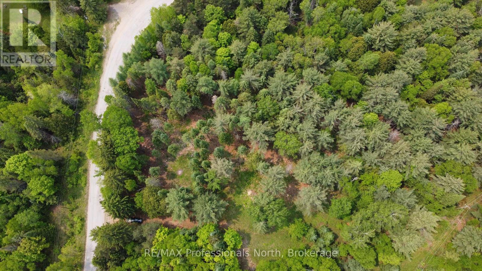 1897 Blairhampton Road, Minden Hills, Ontario  K0M 2K0 - Photo 14 - X12196393