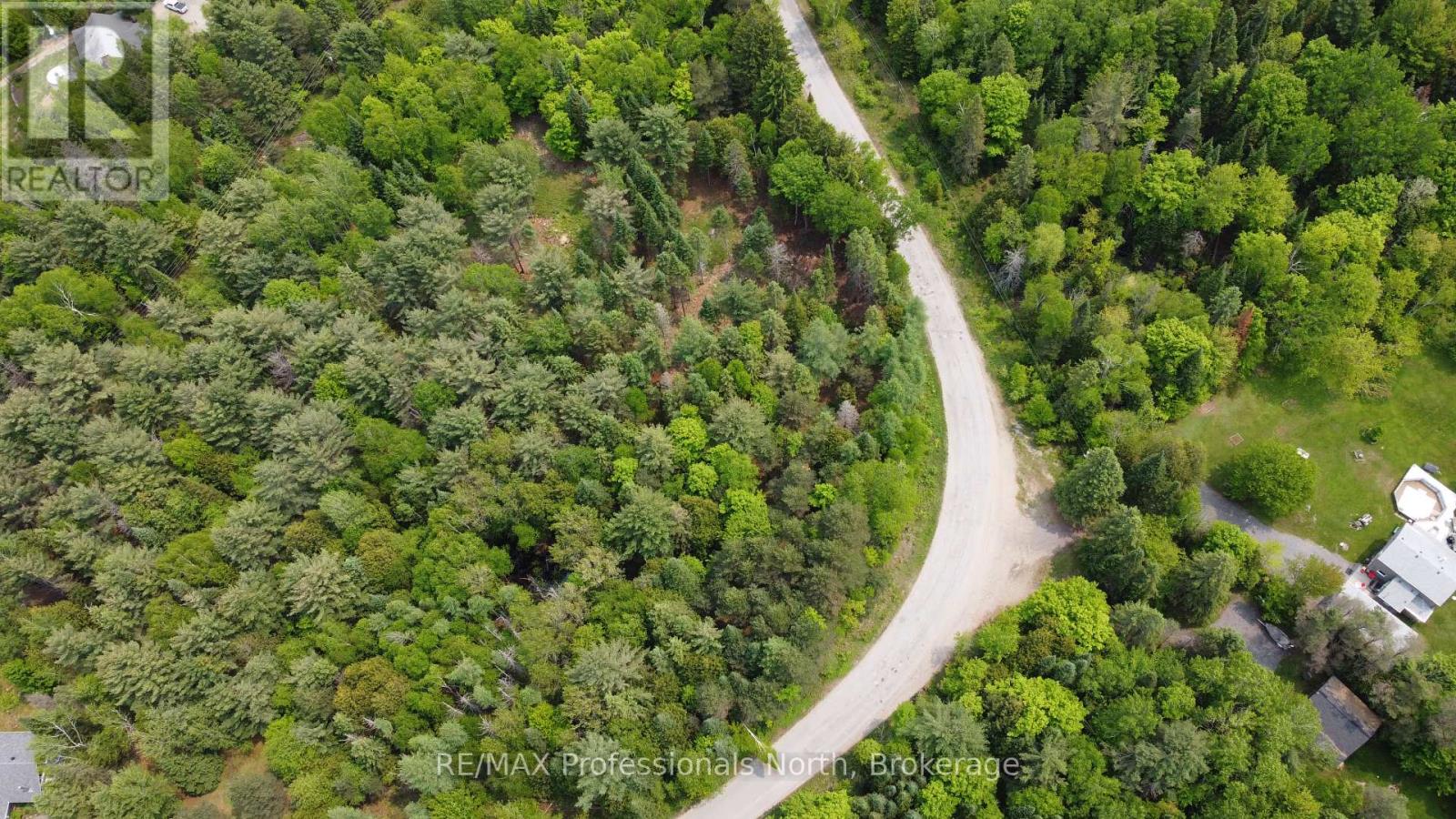 1897 Blairhampton Road, Minden Hills, Ontario  K0M 2K0 - Photo 17 - X12196393