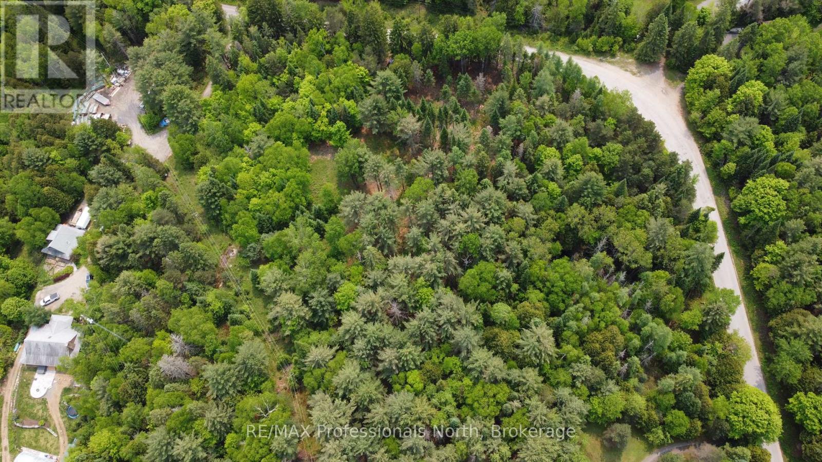 1897 Blairhampton Road, Minden Hills, Ontario  K0M 2K0 - Photo 19 - X12196393