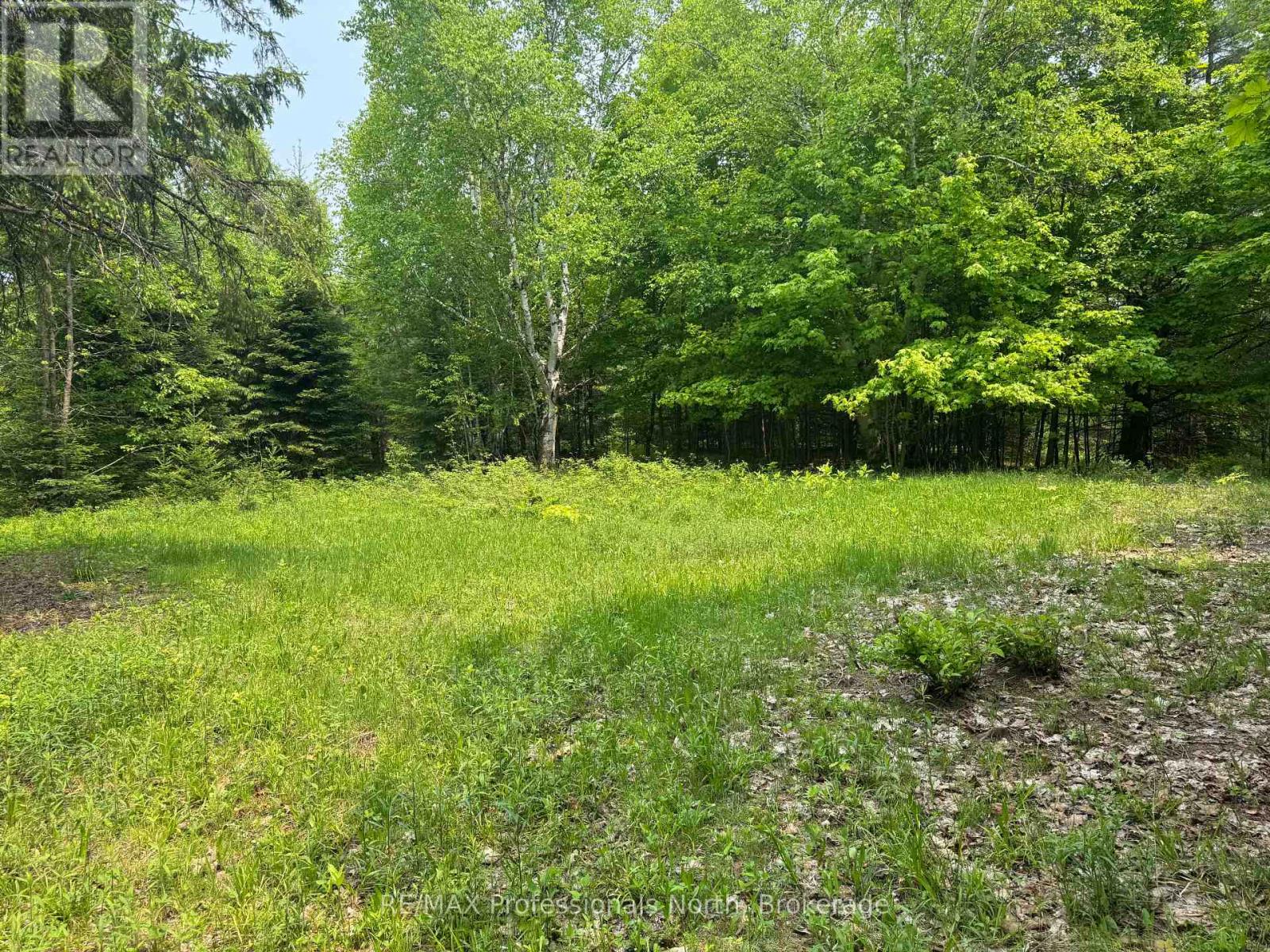 1897 Blairhampton Road, Minden Hills, Ontario  K0M 2K0 - Photo 2 - X12196393