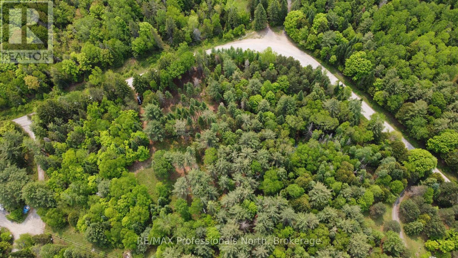 1897 Blairhampton Road, Minden Hills, Ontario  K0M 2K0 - Photo 20 - X12196393