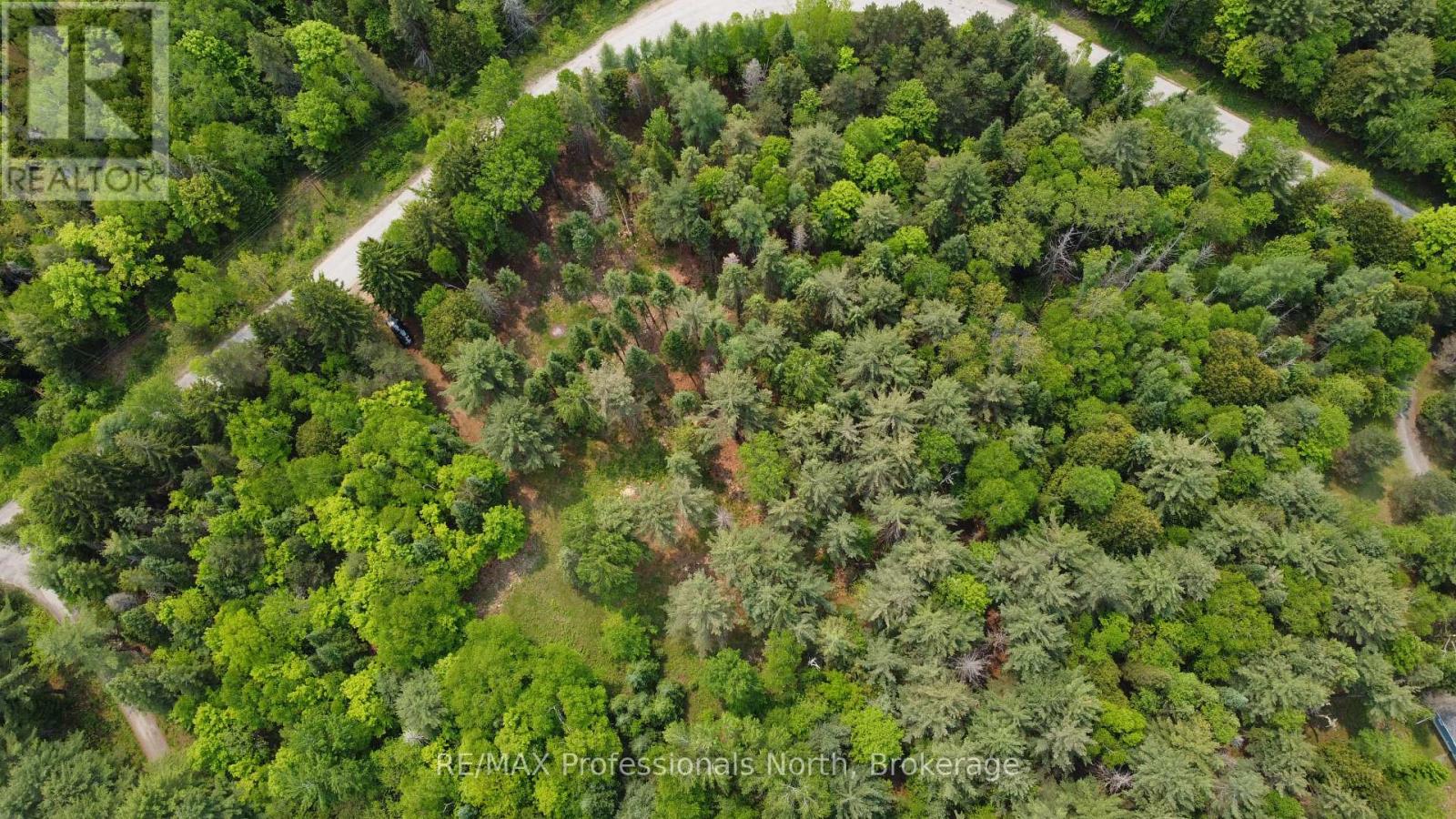 1897 Blairhampton Road, Minden Hills, Ontario  K0M 2K0 - Photo 21 - X12196393