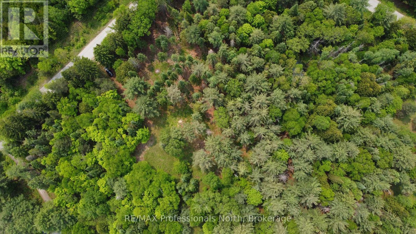 1897 Blairhampton Road, Minden Hills, Ontario  K0M 2K0 - Photo 22 - X12196393