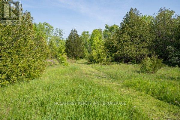 2141 County Rd 6, Loyalist (Lennox And Addington - South), Ontario  K0K 3N0 - Photo 37 - X12022428