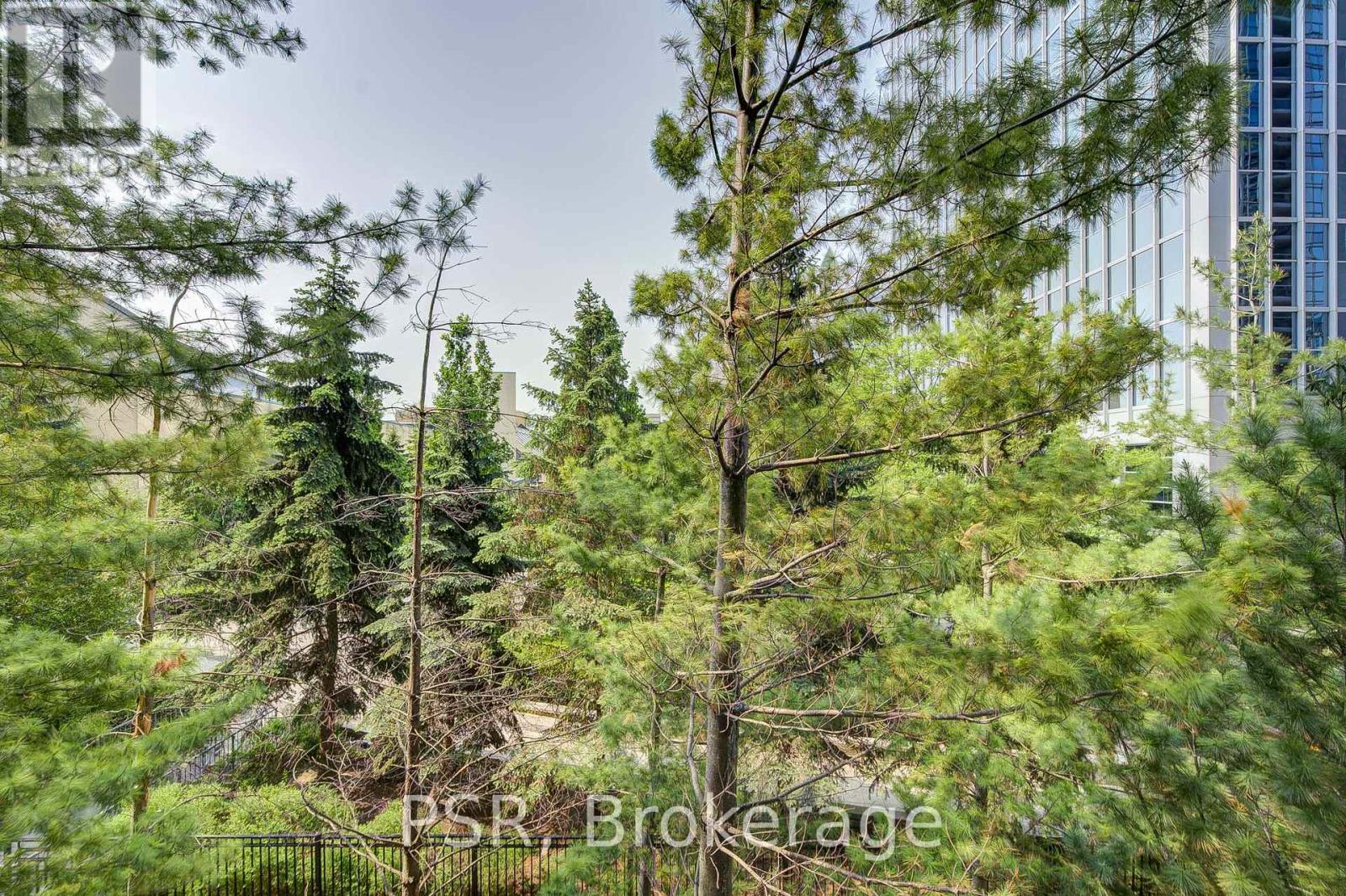 211 - 155 Beecroft Road, Toronto, Ontario  M2N 7C6 - Photo 13 - C12196561