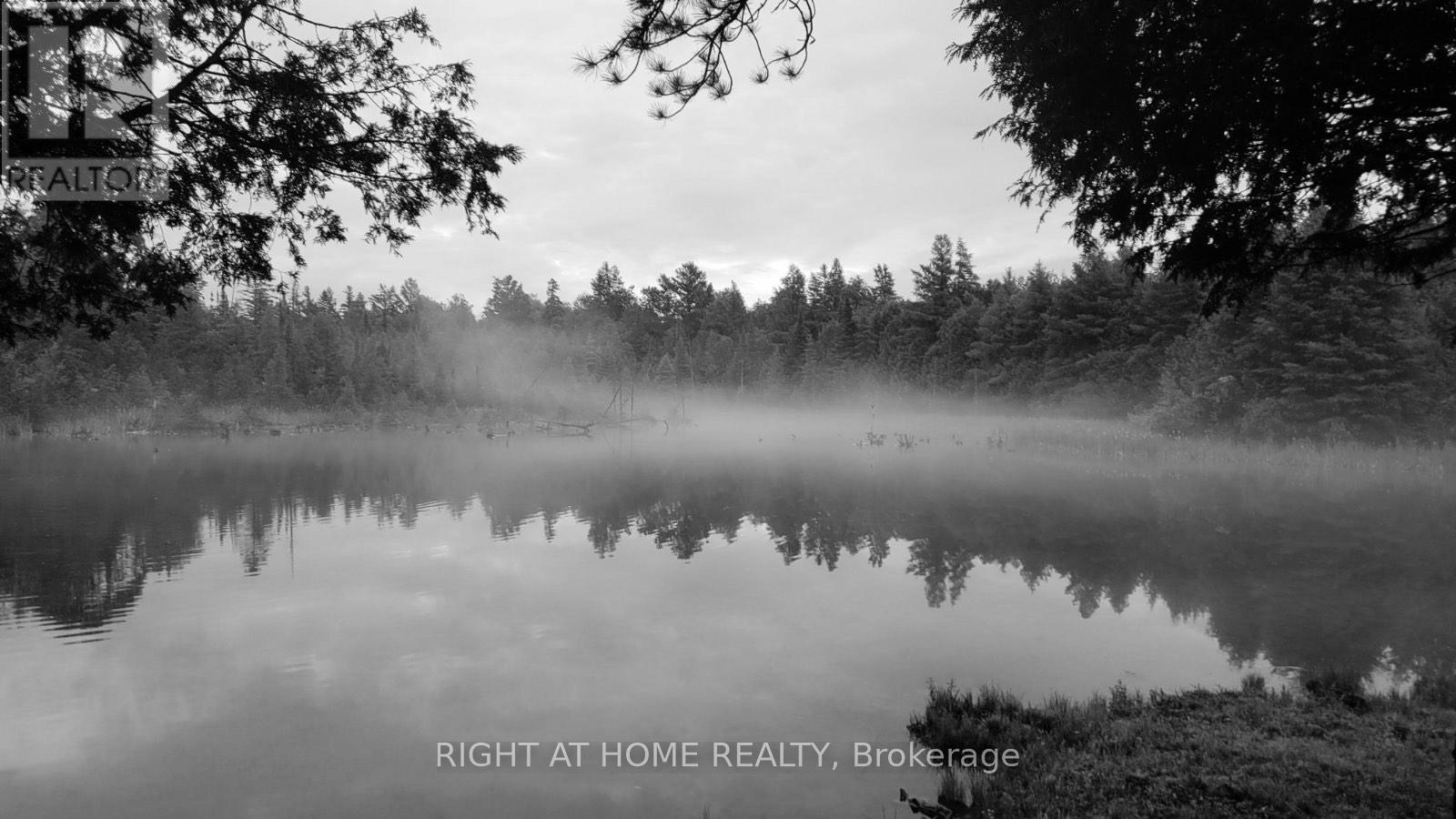 8 - 84048 Southgate Township Road, Southgate, Ontario  N0G 2L0 - Photo 48 - X12195440
