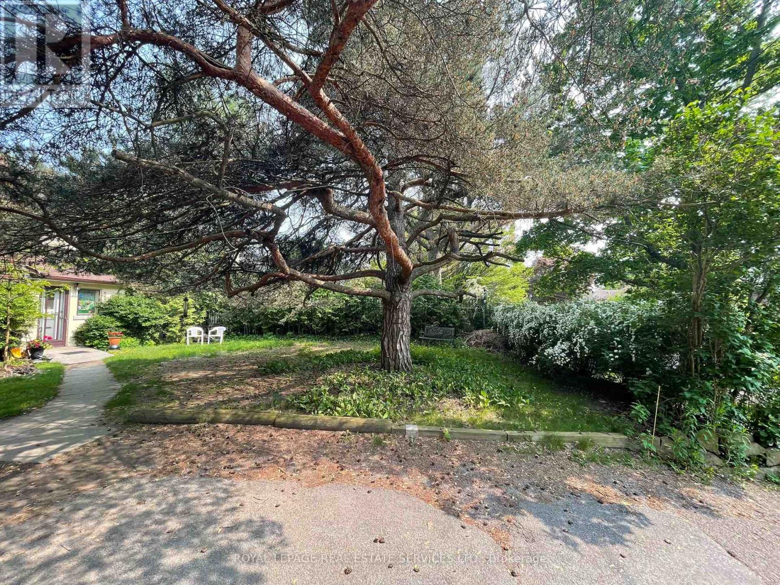 Upper - 239 Ellis Avenue, Toronto, Ontario  M6S 2X4 - Photo 1 - W12194613