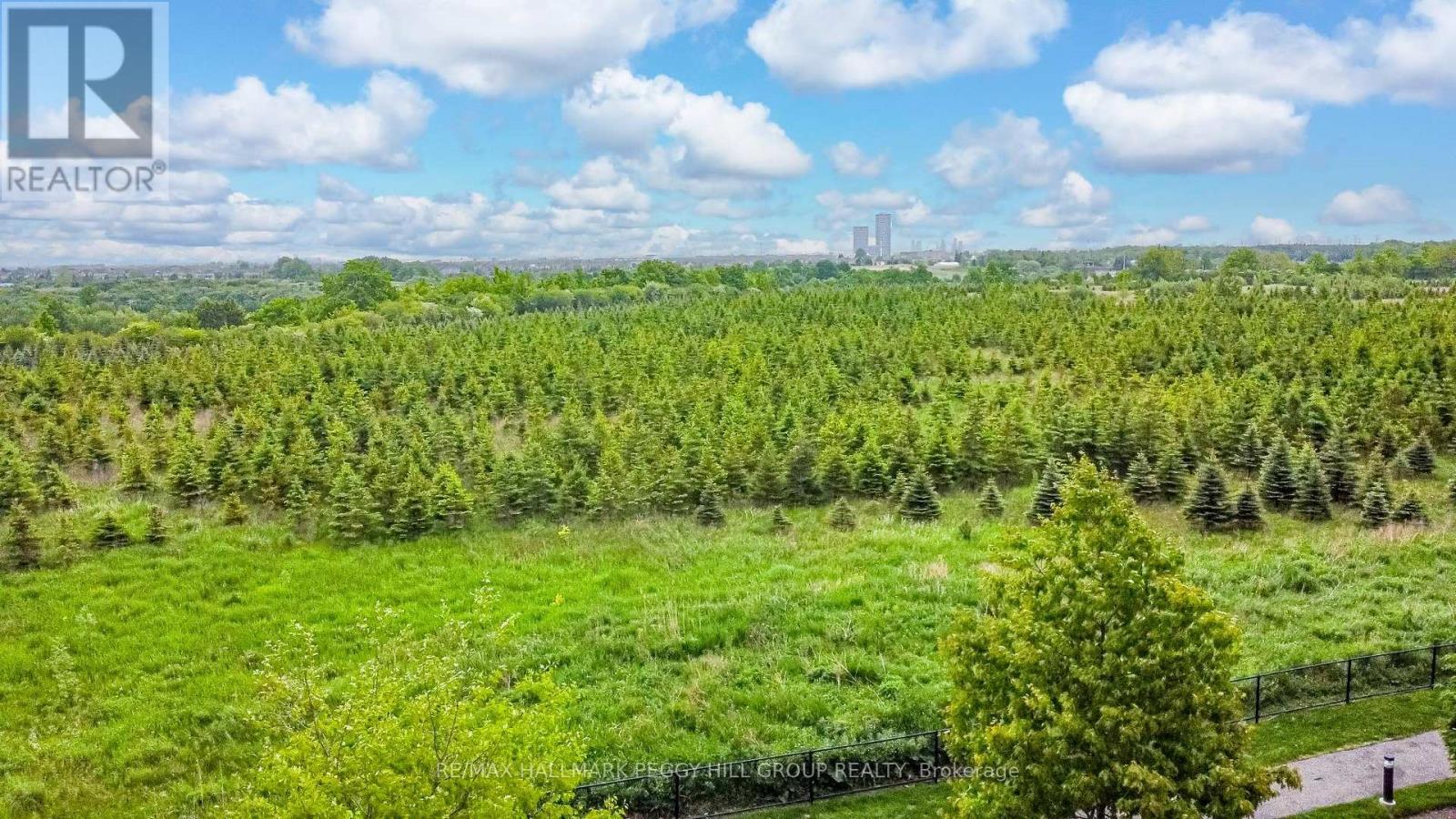 206 - 45 Yorkland Boulevard, Brampton, Ontario  L6P 4B4 - Photo 21 - W12178924