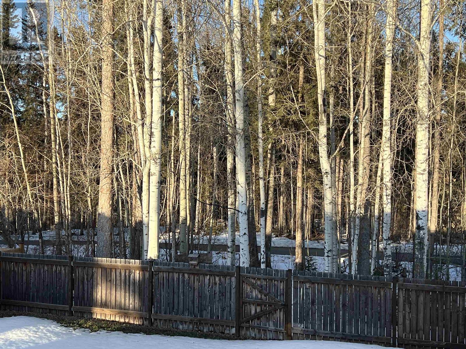 5320 Tamarack Crescent, Fort Nelson, British Columbia  V0C 1R0 - Photo 38 - R3011261