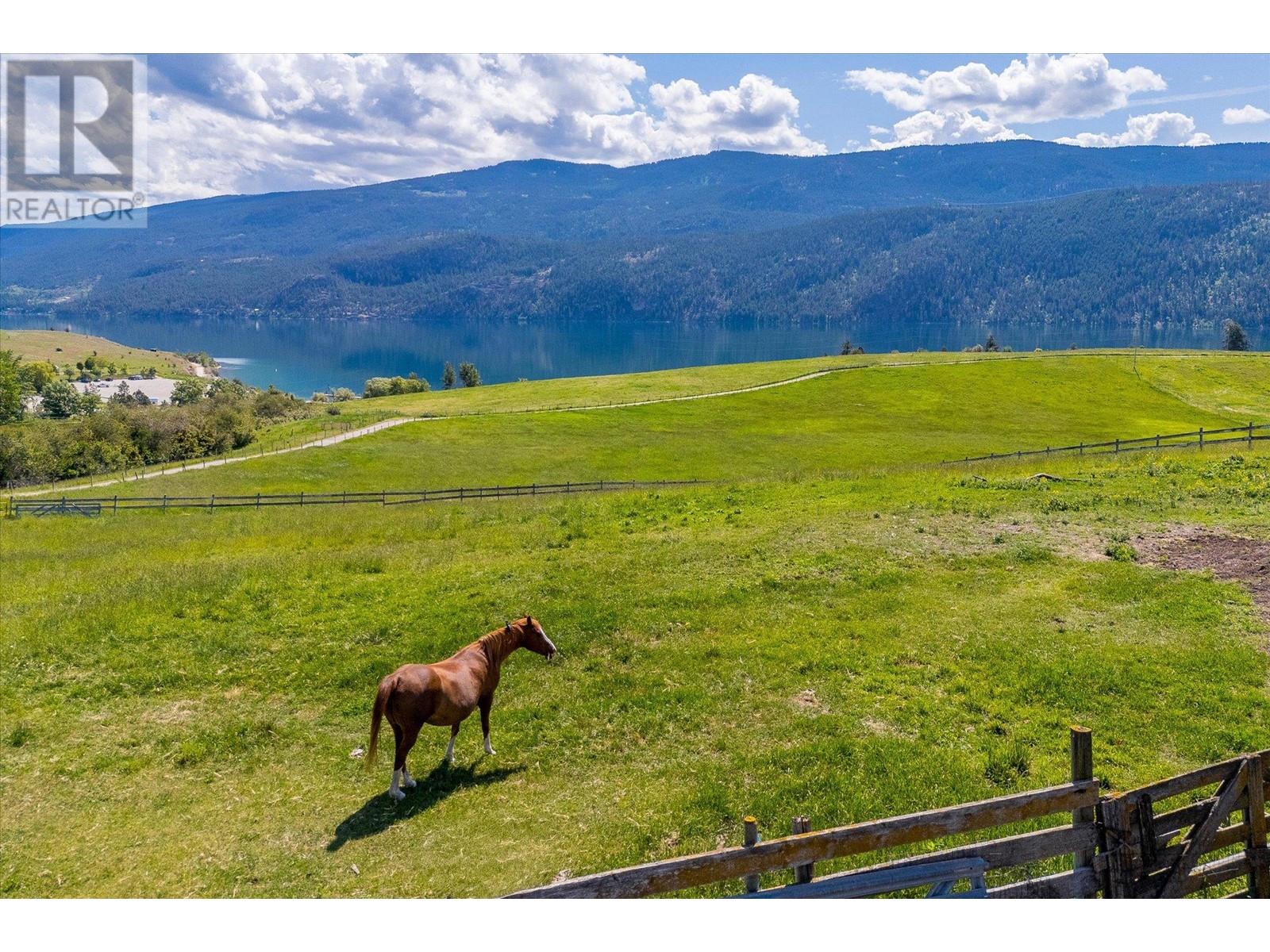 201 Highway 97, Vernon, British Columbia  V1H 1G1 - Photo 30 - 10350743