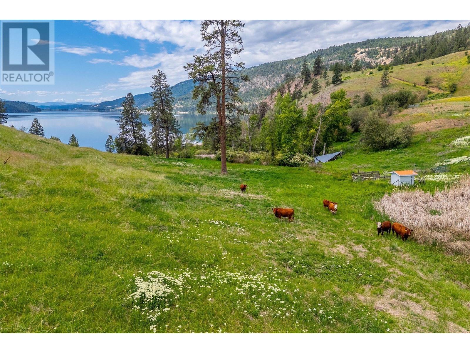 201 Highway 97, Vernon, British Columbia  V1H 1G1 - Photo 38 - 10350743
