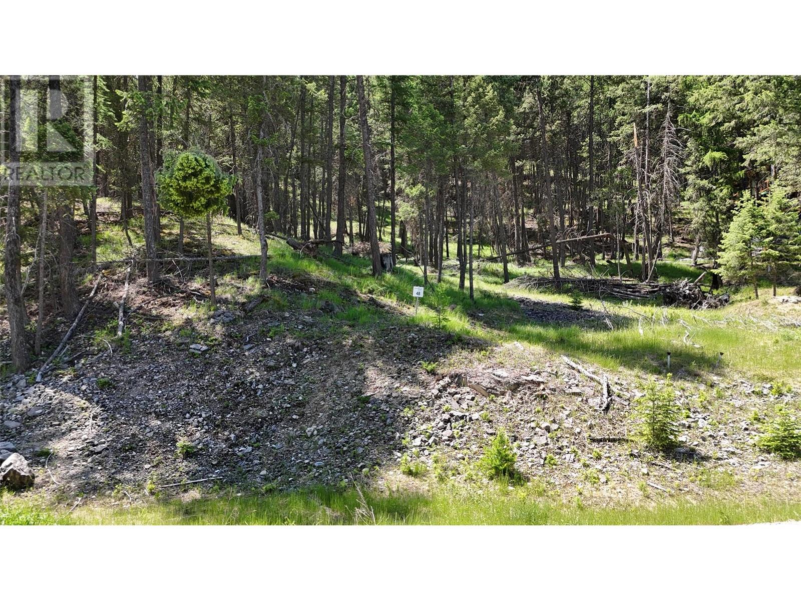 Sl48 Osprey Landing Drive, Wardner, British Columbia  V0B 2J0 - Photo 4 - 10347523