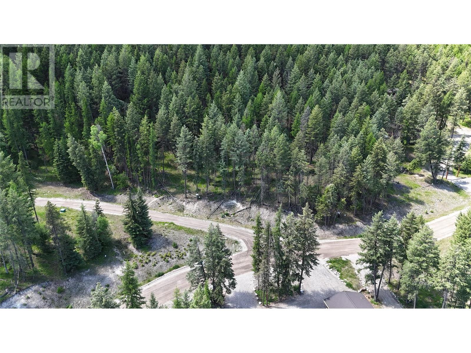 Sl48 Osprey Landing Drive, Wardner, British Columbia  V0B 2J0 - Photo 5 - 10347523