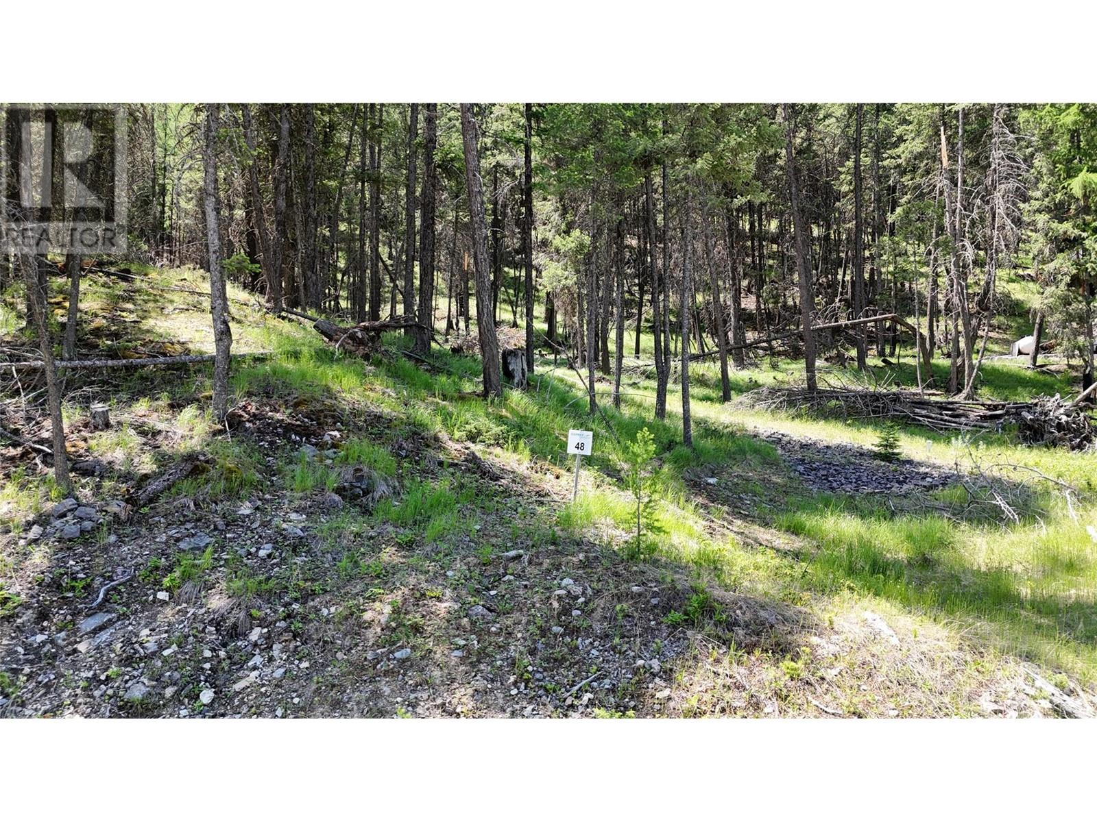 Sl48 Osprey Landing Drive, Wardner, British Columbia  V0B 2J0 - Photo 3 - 10347523