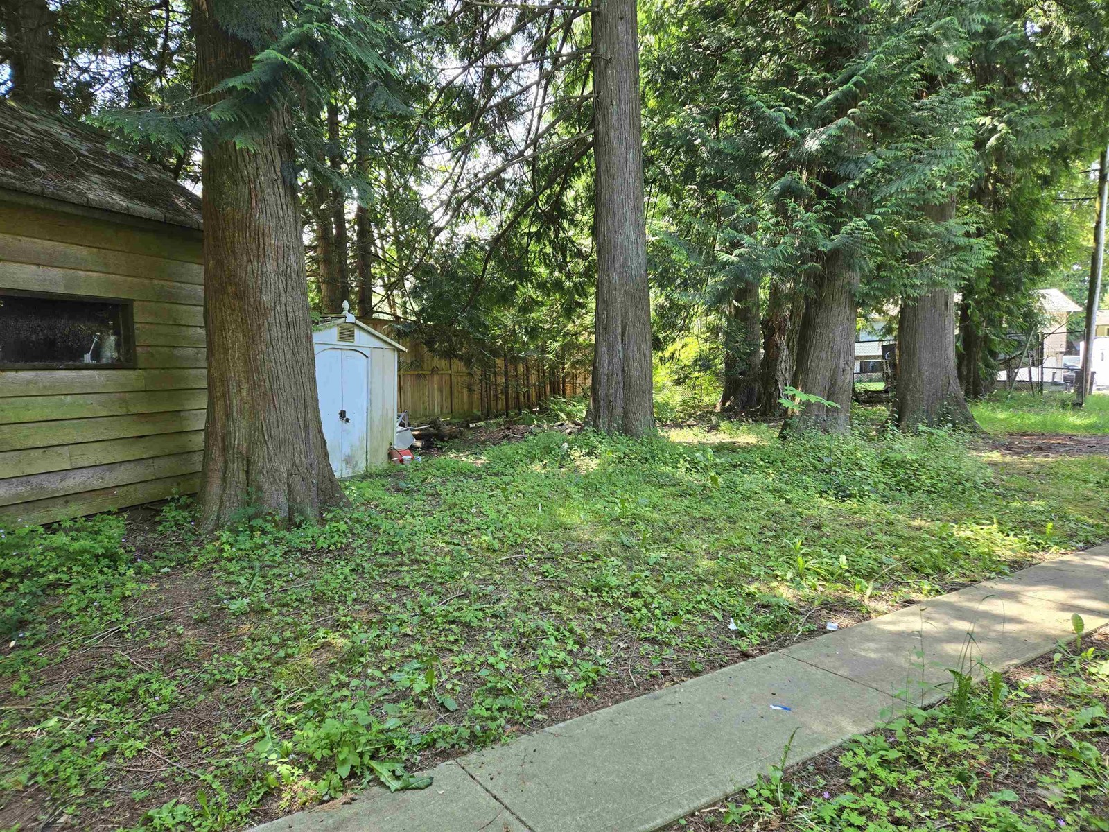 3954 198a Street, Langley, British Columbia  V3A 5W5 - Photo 5 - R3011175