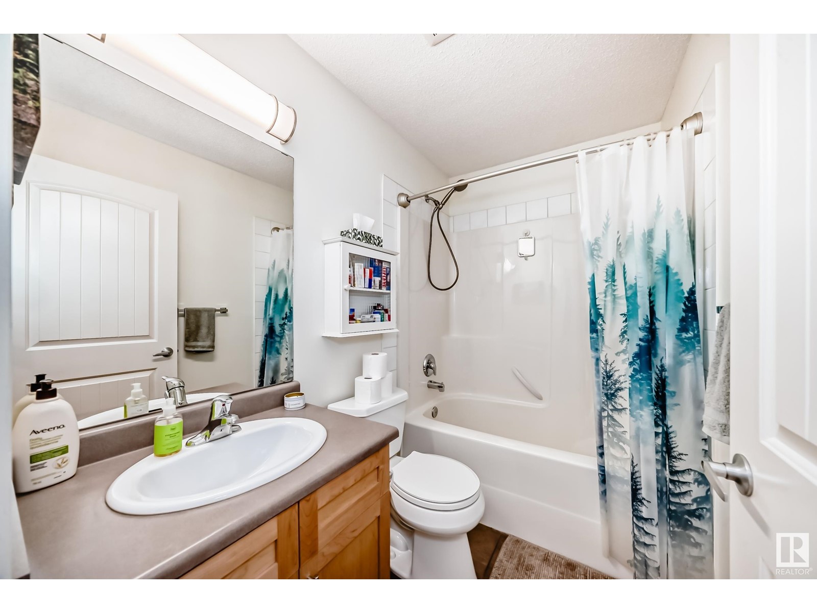 951 Chahley Cr Nw, Edmonton, Alberta  T6M 0C8 - Photo 23 - E4439419