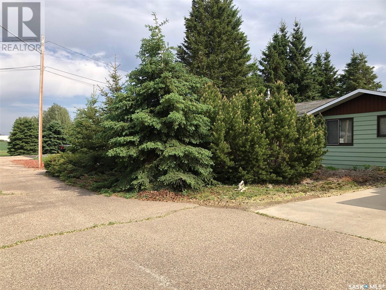 226 Saskatchewan Street E, Kamsack, Saskatchewan  S0A 1S0 - Photo 48 - SK008323