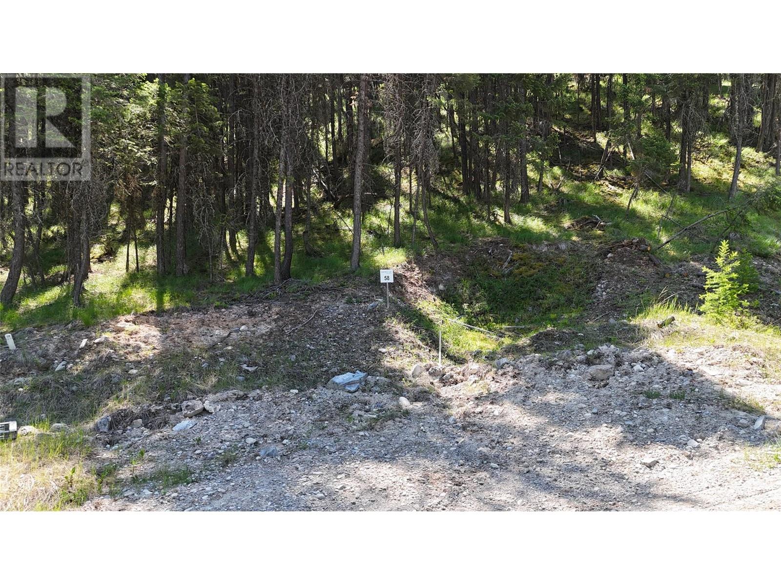 Sl58 Osprey Landing View, Wardner, British Columbia  V0B 2J0 - Photo 3 - 10347549