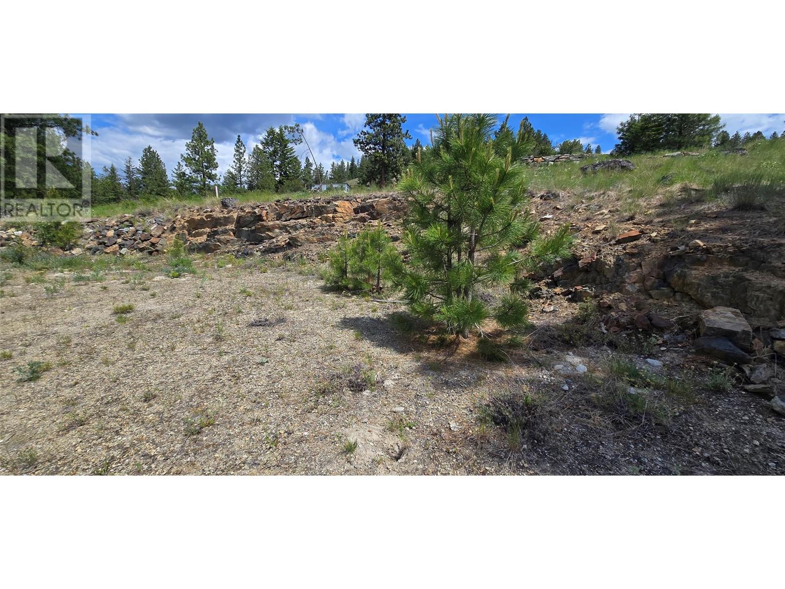 1035 Bullmoose Trail, Osoyoos, British Columbia  V0H 1V6 - Photo 12 - 10349512