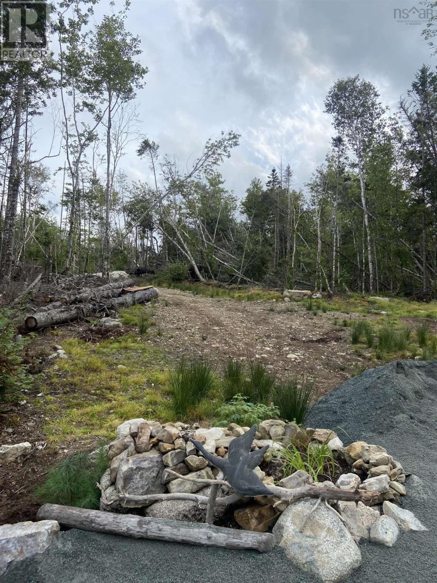 Lot 8c Longbridge Lake, Gaetz Brook, Nova Scotia  B0J 2L0 - Photo 5 - 202513396
