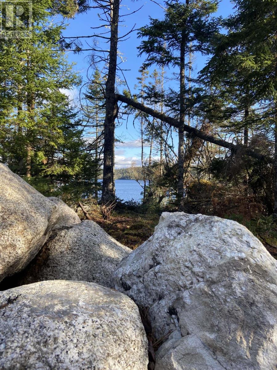 Lot 8c Longbridge Lake, Gaetz Brook, Nova Scotia  B0J 2L0 - Photo 3 - 202513396