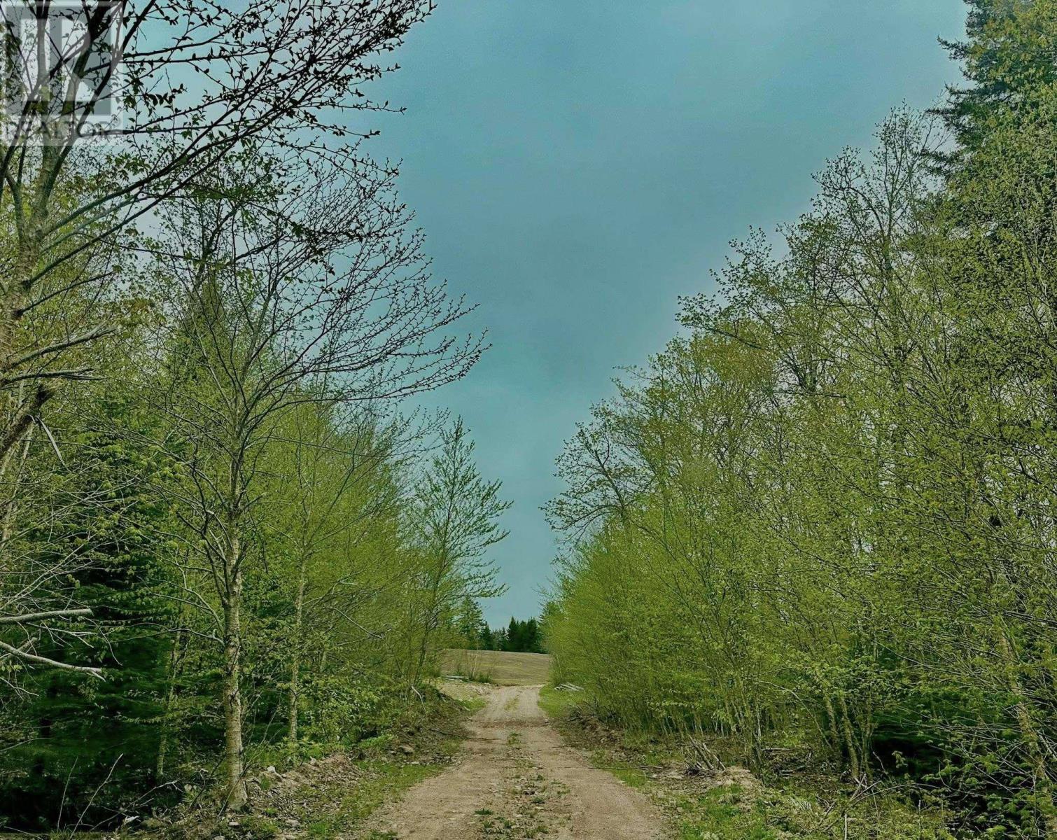 Camp Fenton Road, Collingwood Corner, Nova Scotia  B0M 1E0 - Photo 6 - 202513401