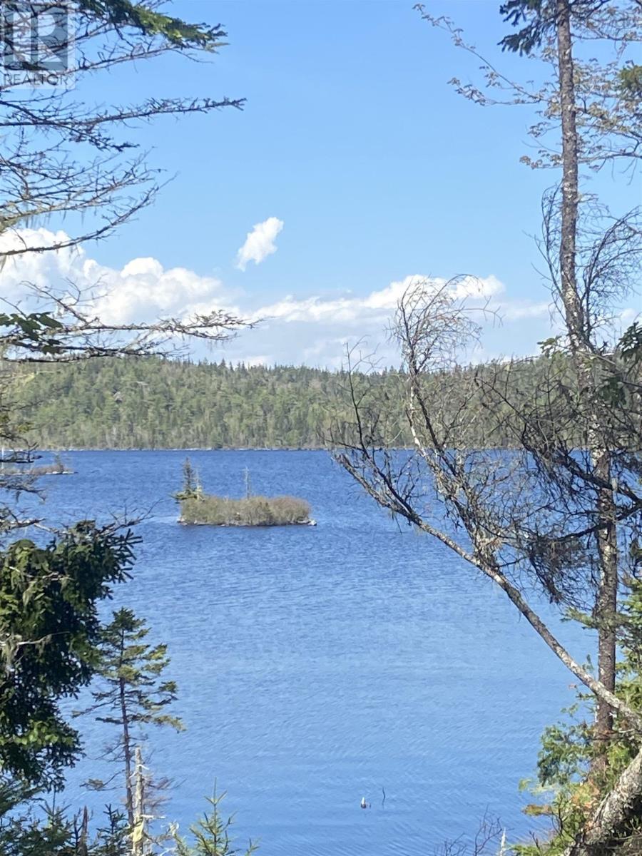 Lot 8c Longbridge Lake, Gaetz Brook, Nova Scotia  B0J 2L0 - Photo 6 - 202513396