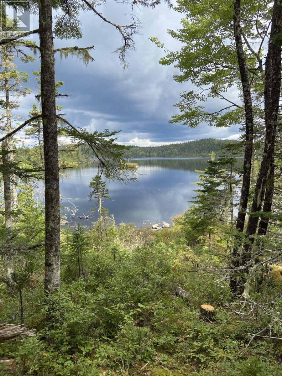 Lot 8c Longbridge Lake, Gaetz Brook, Nova Scotia  B0J 2L0 - Photo 2 - 202513396