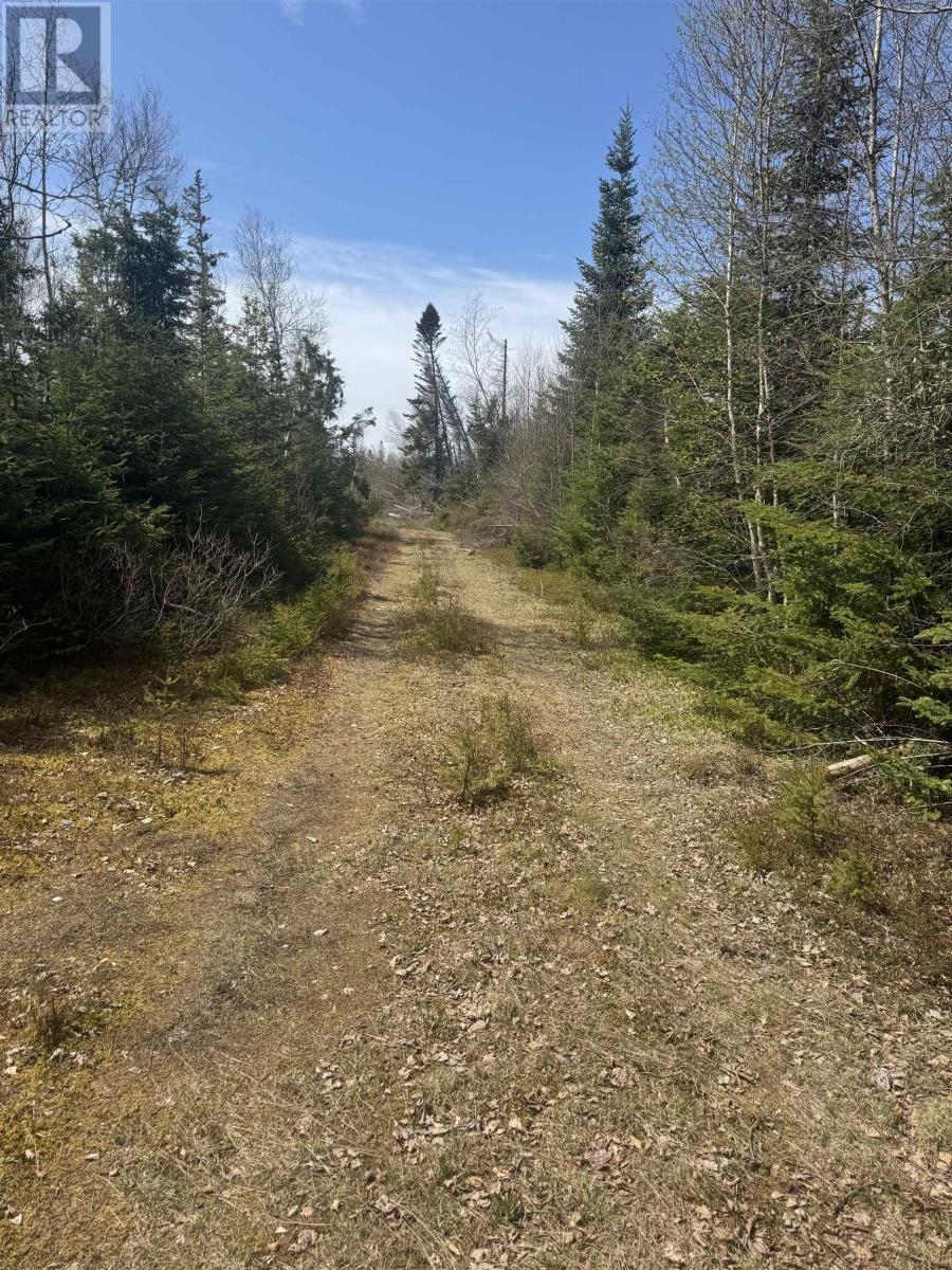 863 Roseberry Road, Belfast, Prince Edward Island  C0A 1A0 - Photo 21 - 202511134