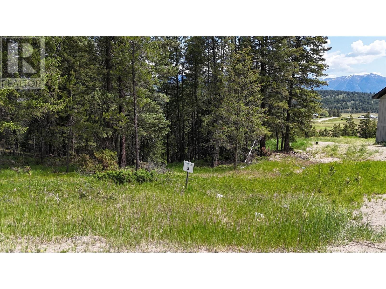 Sl5 Osprey Landing Drive, Wardner, British Columbia  V0B 2J0 - Photo 3 - 10347477