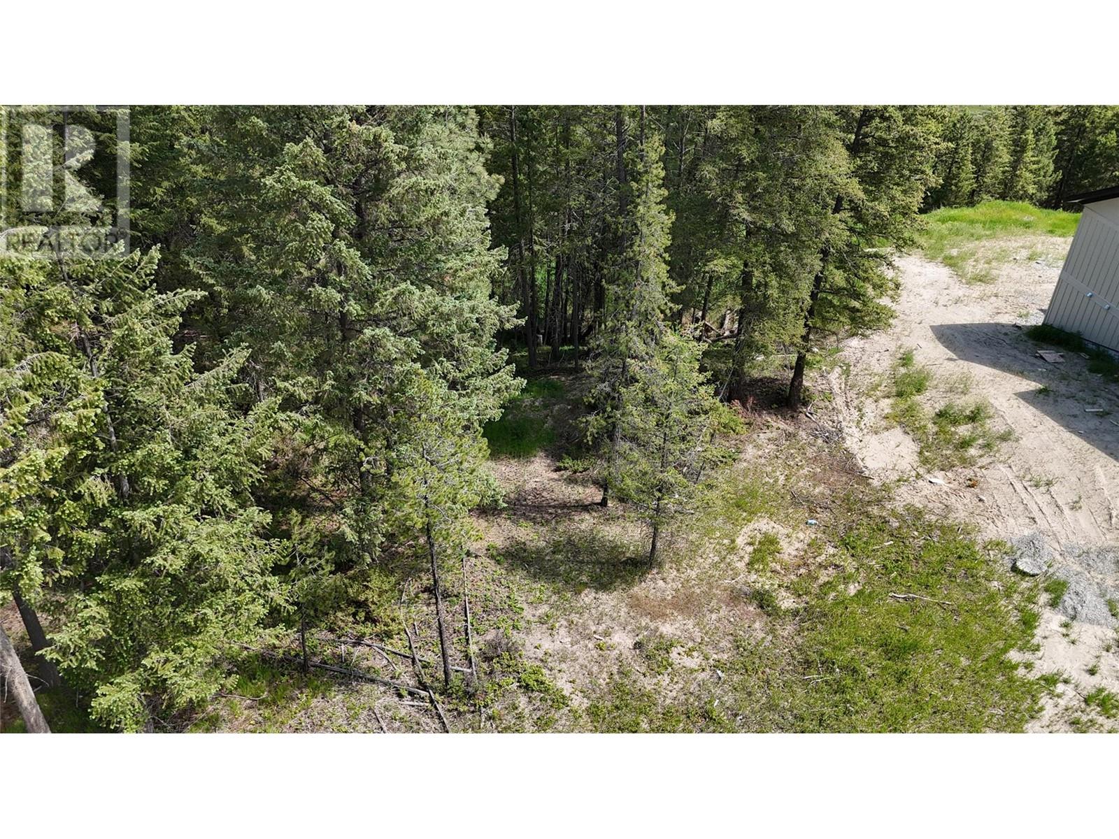 Sl5 Osprey Landing Drive, Wardner, British Columbia  V0B 2J0 - Photo 4 - 10347477
