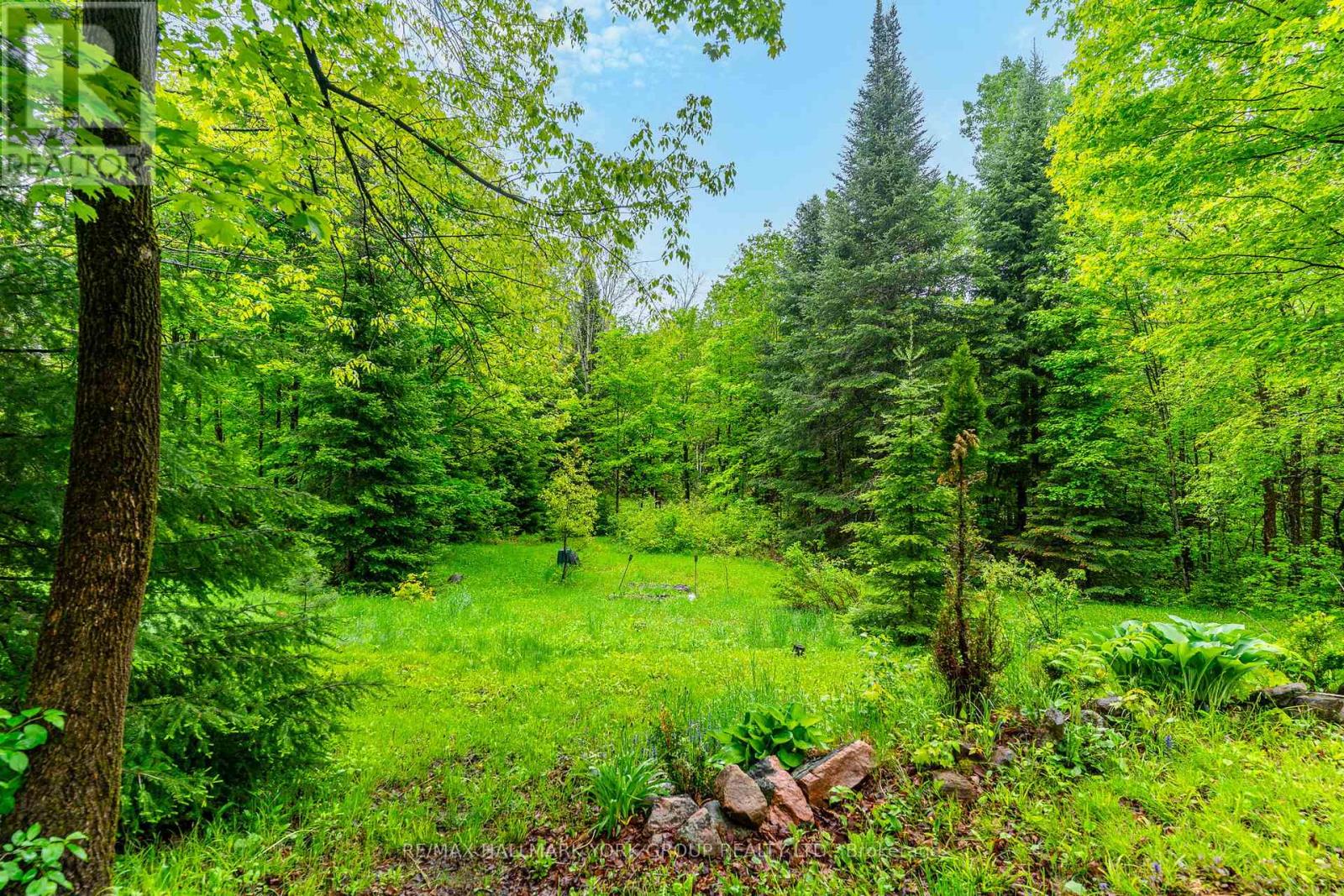 1664 Minnicock Lake Road, Highlands East, Ontario  K0M 1S0 - Photo 40 - X12196881