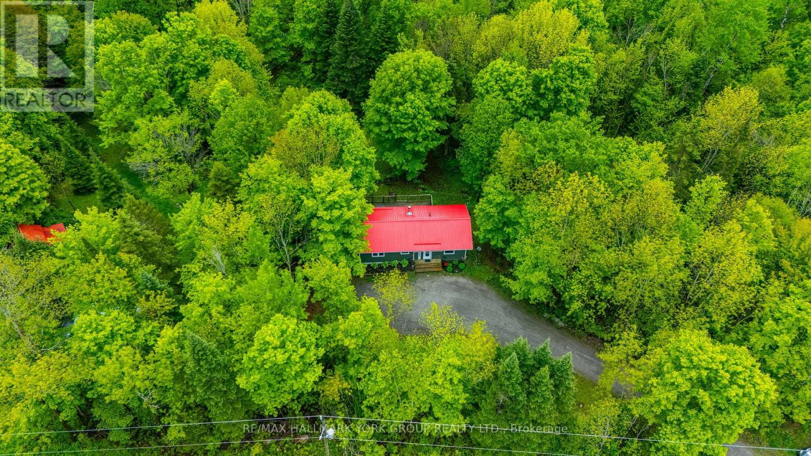 1664 Minnicock Lake Road, Highlands East, Ontario  K0M 1S0 - Photo 42 - X12196881
