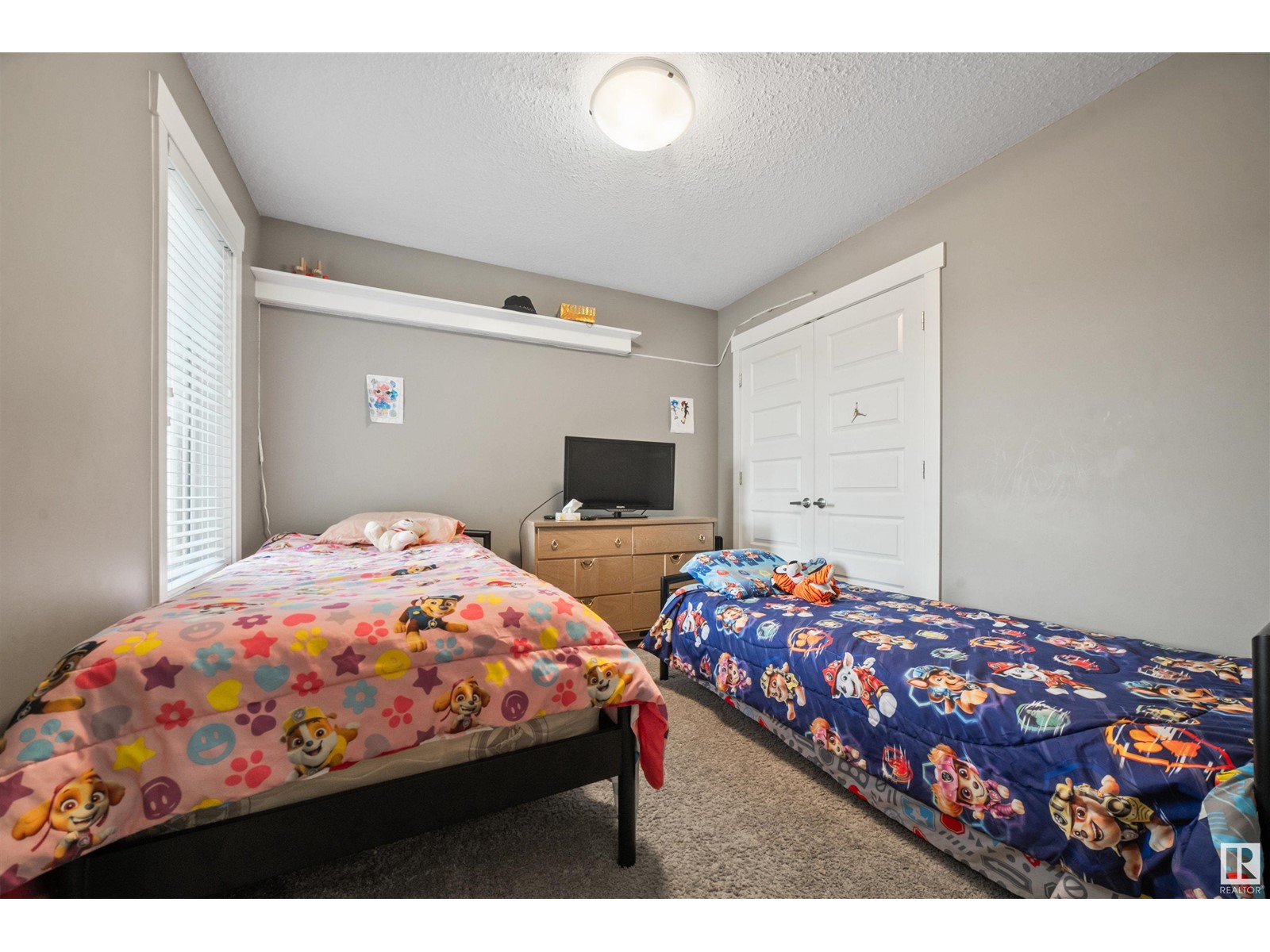 20641 97a Av Nw, Edmonton, Alberta  T5T 4V6 - Photo 39 - E4440347
