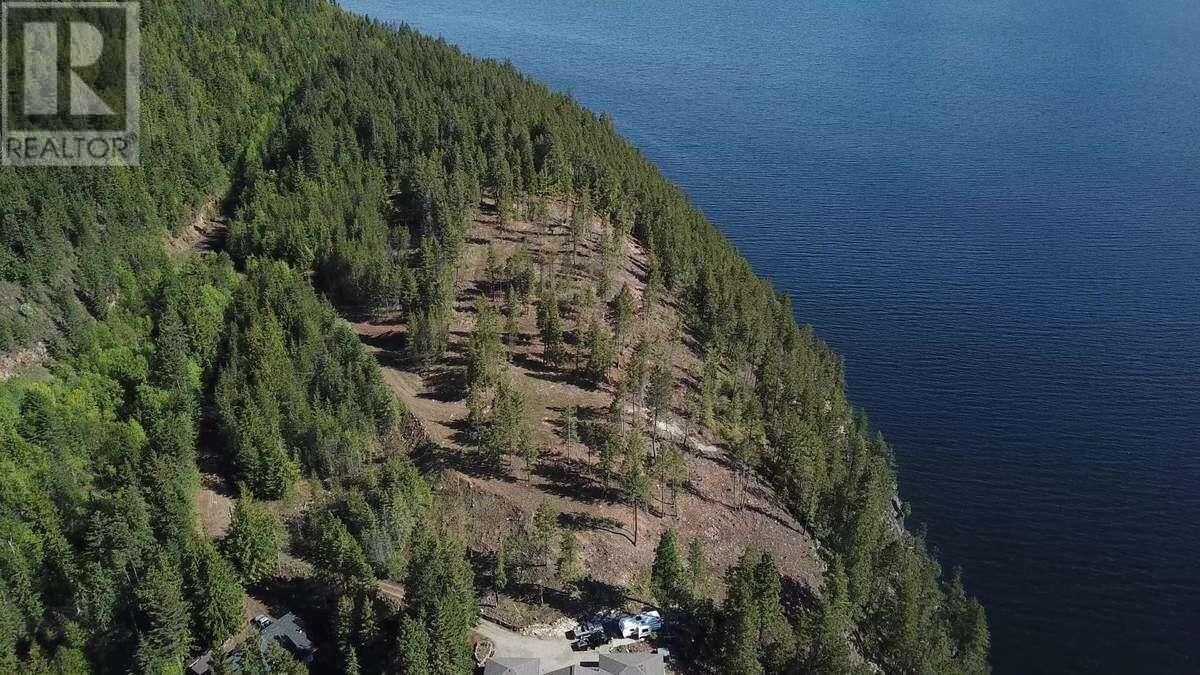 4257 Woodbury Village Road Lot# 3, Kaslo, British Columbia  V0G 1M0 - Photo 3 - 10350924